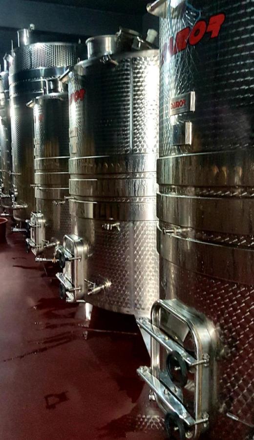 Wine Hotel Cesarica Međugorje Eksteriør bilde